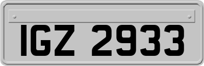 IGZ2933