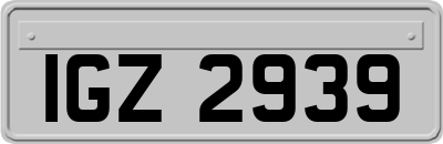 IGZ2939