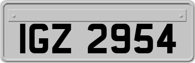 IGZ2954