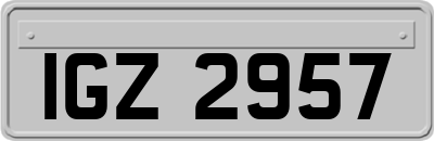 IGZ2957