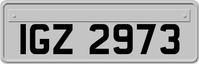 IGZ2973