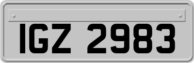 IGZ2983
