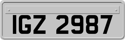 IGZ2987