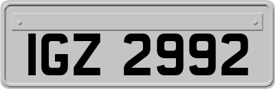 IGZ2992