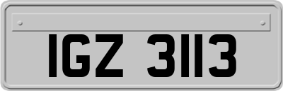 IGZ3113