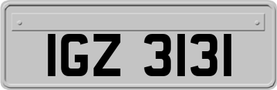 IGZ3131