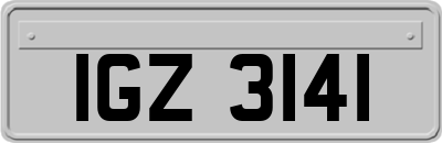 IGZ3141
