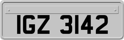 IGZ3142