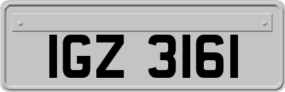 IGZ3161