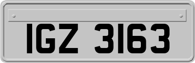IGZ3163
