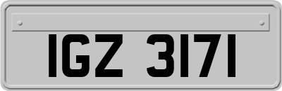 IGZ3171