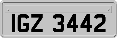 IGZ3442