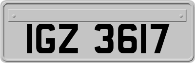 IGZ3617