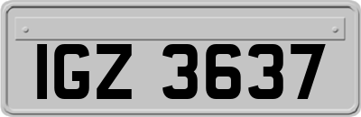 IGZ3637
