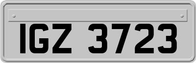 IGZ3723