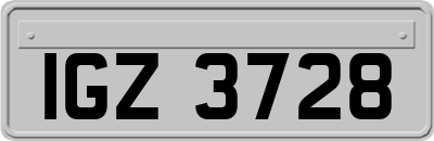 IGZ3728