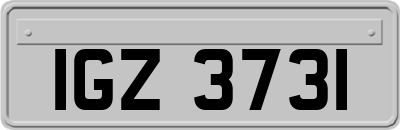 IGZ3731