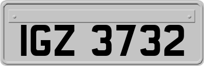IGZ3732