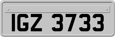 IGZ3733