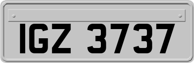 IGZ3737