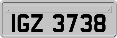 IGZ3738
