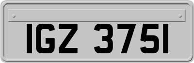 IGZ3751