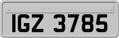 IGZ3785