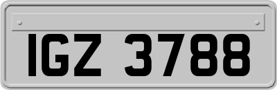 IGZ3788