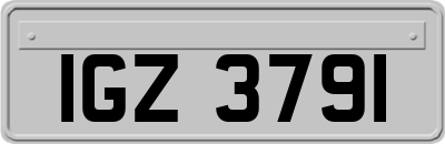 IGZ3791