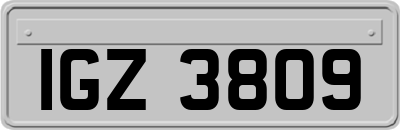 IGZ3809