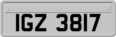 IGZ3817