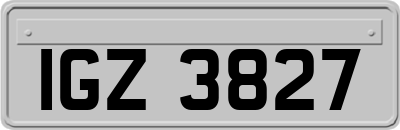 IGZ3827