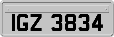 IGZ3834