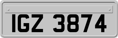 IGZ3874