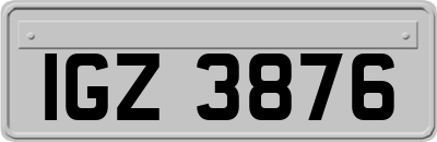 IGZ3876