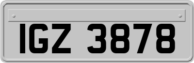 IGZ3878