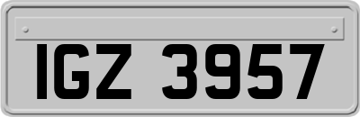IGZ3957