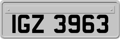 IGZ3963