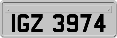 IGZ3974