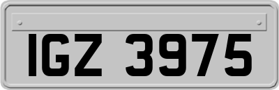 IGZ3975