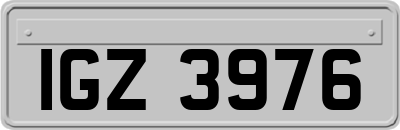 IGZ3976