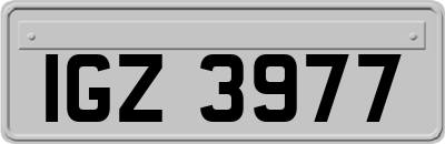 IGZ3977