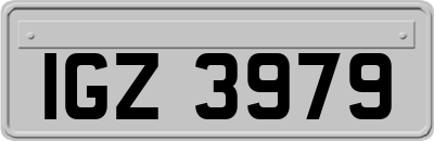 IGZ3979