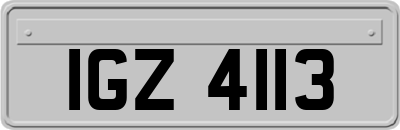 IGZ4113