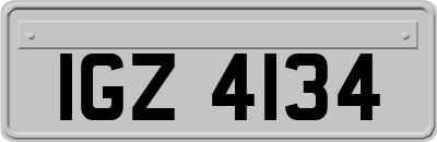IGZ4134