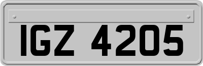 IGZ4205