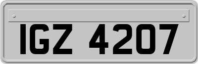 IGZ4207