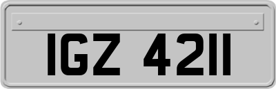 IGZ4211