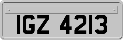 IGZ4213