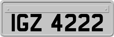 IGZ4222
